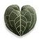 Green Philosophy Co Anthurium Leaf Pillow Soft 3D Plant Throw Pillow Khaki Green Decorative Leaf Pillow for Couch Bed for Plant Lovers