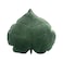 Teieas Leaf Throw Pillows Cute Novelty Plant Plush Cushion Backrest Pillow Home Decoration for Car Bedroom Sofa Couch Living Room 197in50CM