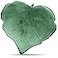 Yulejo Leaf Shaped Throw Pillow Cushion 20 x 20 Inch 3D Plant Leaf Pillow Cute Decorative Soft Plush Cushion for Plant Lovers Gift Bedroom Sofa Couch Car Living Room Home Decoration Favor Dark Green