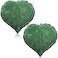 Yookeer 2 Pcs Leaf Shaped Throw Pillow 3D Leaves Plant Decorative Throw Pillows for Couch Living Room Bedroom Sofa Home Decoration 16 x 16 InchDark Green