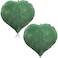 Yookeer 2 Pcs Leaf Shaped Throw Pillow 3D Leaves Plant Decorative Throw Pillows for Couch Living Room Bedroom Sofa Home Decoration 16 x 16 InchDark Green