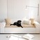 Mivnue Pet Couch Cover Couch Covers for Dogs Washable Dog Sofa Covers Couch Protector Fuzzy Non Slip Couch Slipcover Pet Friendly Brown 276 x 827