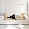 Mivnue Pet Couch Cover Couch Covers for Dogs Washable Dog Sofa Covers Couch Protector Fuzzy Non Slip Couch Slipcover Pet Friendly Brown 276 x 827