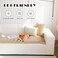 ZQFFB Pet Couch Cover Dogs Washable NonSlip Couch Protector Pet Friendly Dog Mat for Couches and Sofas