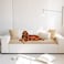 Mitid Sofa Cover Fuzzy Couch Cover for Pet Couch Covers for Dogs Washable NonSlip Sofa Slipcover Cushion Protector Pets Friendly Mat Brown