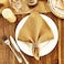 Mebakuk Cloth Napkins Set of 12 Premium 17 x 17 Inch Solid Washable Small Triangle Weave Napkins Soft Table Napkin for Wedding Party Restaurant Dinner Parties