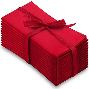 Aunti Em's Aunti Ems Kitchen Truly Wrinkle Free Dinner Napkins Restaurant Quality Oversized 20 x 20 Inches Set of 12 Festive Red