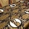 Loom and Mill Luxury Fabric Tablecloth 60 x 104 Inch Damask Jacquard Table Covers with Tassels for Dining Kitchen Tabletop Party Banquet Halloween Holiday DecorationsBlack 60x104in