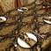 Loom and Mill Luxury Fabric Tablecloth 60 x 104 Inch Damask Jacquard Table Covers with Tassels for Dining Kitchen Tabletop Party Banquet Halloween Holiday DecorationsBlack 60x104in
