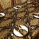 Loom and Mill Luxury Fabric Tablecloth 60 x 104 Inch Damask Jacquard Table Covers with Tassels for Dining Kitchen Tabletop Party Banquet Halloween Holiday DecorationsBlack 60x104in