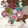 kilofly 14 pcs Cotton Crochet Doilies 4118 Handmade White Beige Placemats Beige 5pcWhite 5pcOther 4pc