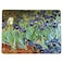 YAYIYO YaYiYo Cork Coaster Insulation Oil Painting Table Mats for DiningKitchen Table Placemat Set of 2 157 x 118 Inch