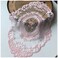 Fiygor 2Pack Retro Lace Placemats French Crochet Doilies Handmade Embroidered Table Mats 12x16in Pink Place Mats Cup Mat