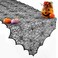 sogiv Halloween Table Runner Black Lace Spider Web Table Runners for Halloween DecorParty Dinner Table Decoration 18 x 72Inch