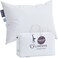 Lincove Signature 100 Natural Canadian White Down Pillow Luxury Sleeping Pillow for Back Stomach Side Sleepers 800 Fill Power Bed Pillow 500 Thread Count Made in Canada Queen Firm 1 Pack