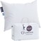 Lincove Signature 100 Natural Canadian White Down Pillow Luxury Sleeping Pillow for Back Stomach Side Sleepers 800 Fill Power Bed Pillow 500 Thread Count Made in Canada Queen Firm 1 Pack
