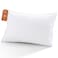Sasttie Queen Size Pillow Hotel Collection Single Bed Pillow for Side Back and Stomach Sleepers Down Alternative Plump Filling White Set of 1 Queen 20x30 Inches