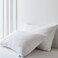 Three Geese White Goose Feather Down Pillows Queen Size Set of 2100 Cotton Medium FirmSoft Support