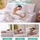 Three Geese White Goose Feather Down Pillows Queen Size Set of 2100 Cotton Medium FirmSoft Support