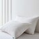 Three Geese White Goose Feather Down Pillows Queen Size Set of 2100 Cotton Medium FirmSoft Support