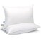 East Coast Bedding Cozy Dream Goose Feather and Down Pillows RDS Certified 100 Cotton Cover Hotel Collection Bed Sleeping Medium Support Queen 2 Pack