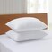 Acanva Bed Pillows 2 Pack Hotel Collection Luxury Soft Inserts for SleepingBreathable and Comfortable for Stomach Back Sleepers Standard Pack of 2