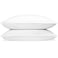 Down Dreams Manchester Mills Classic Pillows KingMedium Support 2Pack
