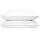 Down Dreams Manchester Mills Classic Pillows StandardFirm Support 2Pack
