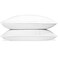 Down Dreams Manchester Mills Classic Pillows StandardFirm Support 2Pack