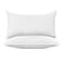 Elegant Comfort 100 Cotton Shell Stripe Hotel Pillows Super Plush Bed Pillows for Side Back Stomach Sleepers Cooling GelInfused Filling 2PACK StandardQueen Pillow Set White