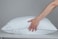 Eastwarmth Standard Goose Feather Down Pillow 100 Soft Cotton Cover Bed Pillow for Sleeping Standard Size 20X26IN Stripe White 1 Pack