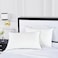 kate spade new york Noel SoftMedium 20 x 28 Adjustable Down Alternative Pillow 300 Thread Count Cotton Cover Best for Back or Stomach Sleepers Queen White