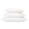 RejuveNite American Talalay Latex Pillow Medium Support King High Profile 100 Cotton Sateen Cover Made in USA