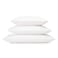 RejuveNite American Talalay Latex Pillow Medium Support King High Profile 100 Cotton Sateen Cover Made in USA