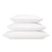 RejuveNite American Talalay Latex Pillow Medium Support King High Profile 100 Cotton Sateen Cover Made in USA