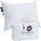 Lincove Signature 100 Natural Canadian White Down Luxury Sleeping Pillow 800 Fill Power 500 Thread Count Cotton Shell Made in Canada Standard Soft 1 Pack