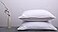 ArcticNorthDown Goose Down Feather Bed Pillows for Sleeping Hotel Collection Queen Pair Pillows Stripe White Queen Set of 2 Pillows