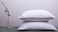 ArcticNorthDown Goose Down Feather Bed Pillows for Sleeping Hotel Collection Queen Pair Pillows Stripe White Queen Set of 2 Pillows