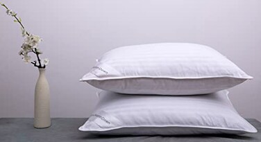 ArcticNorthDown Goose Down Feather Bed Pillows for Sleeping Hotel Collection Queen Pair Pillows Stripe White Queen Set of 2 Pillows