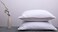 ArcticNorthDown Goose Down Feather Bed Pillows for Sleeping Hotel Collection Queen Pair Pillows Stripe White Queen Set of 2 Pillows