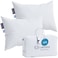 Lincove Cloud Natural Canadian Down Pillow White Luxury Sleeping Pillow 625 Fill Power 500 Thread Count Cotton Shell Made in Canada King Firm 2 Pack
