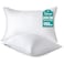 Oubonun Queen Size Pillows Set of 2 Fluffy Supportive Down Alternative Pillows with Zippered Cotton Cover Breathable and Cool for All Sleeping Positions Machine Washable 20x30