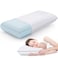 CushyOasis Memory Foam Pillows for Side Back and Stomach Sleepers Bed Pillow with Washable Cover and Breathable Mesh Bed Pillow for Sleeping Queen Size Grey