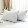 BPC Luxury Hotel Goose Feather Down Pillows Queen Size Set of 2 Medium Firm Bed Pillows for Sleeping Organic Cotton Cover Soft Yet Supportive Down Alternative Surround RDS Certified White 20x30