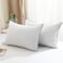 BPC Luxury Hotel Goose Feather Down Pillows Queen Size Set of 2 Medium Firm Bed Pillows for Sleeping Organic Cotton Cover Soft Yet Supportive Down Alternative Surround RDS Certified White 20x30