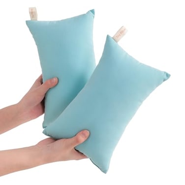 NTBAY Tiny Pillows Down Alternative 7x11 Microfiber Mini Pillow for Travel Pets Soft Machine Washable Small Pillows for Neck Wrist Lumbar and Knee Aqua