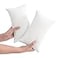 NTBAY Tiny Pillows Down Alternative 7x11 Microfiber Mini Pillow for Travel Pets Soft Machine Washable Small Pillows for Neck Wrist Lumbar and Knee White