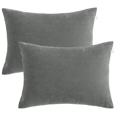 BEDSUM Toddler Pillows 13x18 Ultra Soft Microfiber Travel Pillow for Sleeping Small Pillows for Kids Daycare Flight and Neck Support Machine Washable Pillow Inserts 2 Pack Dark Grey