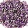 Cherry Tree Collection 12 lb Polished Amethyst Gemstone Chips