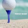 CHAMPKEY 314 Premium Plastic Golf TeesExcellent Durability and Stability Tees Choose Between 25 Pack and 50 Pack